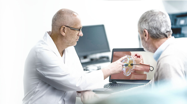 Dos médicos observan una animación del sistema de PFA.